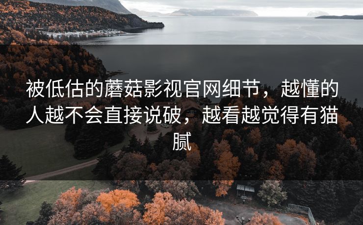 被低估的蘑菇影视官网细节，越懂的人越不会直接说破，越看越觉得有猫腻