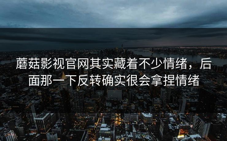 蘑菇影视官网其实藏着不少情绪，后面那一下反转确实很会拿捏情绪